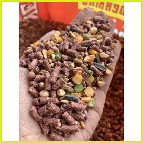 ENERTONE (PELLET AND GRAINS) 1 KILO .